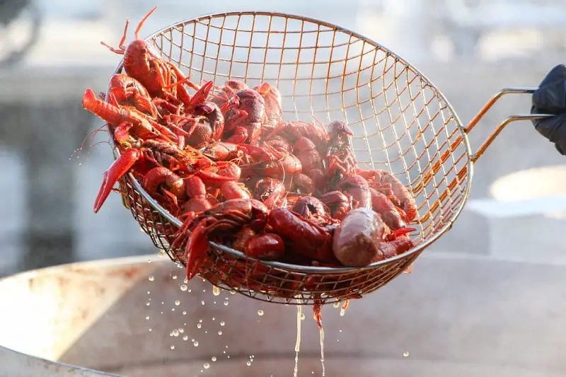 What Are Crawfish Used For