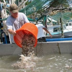Jacob James unloading shrimp