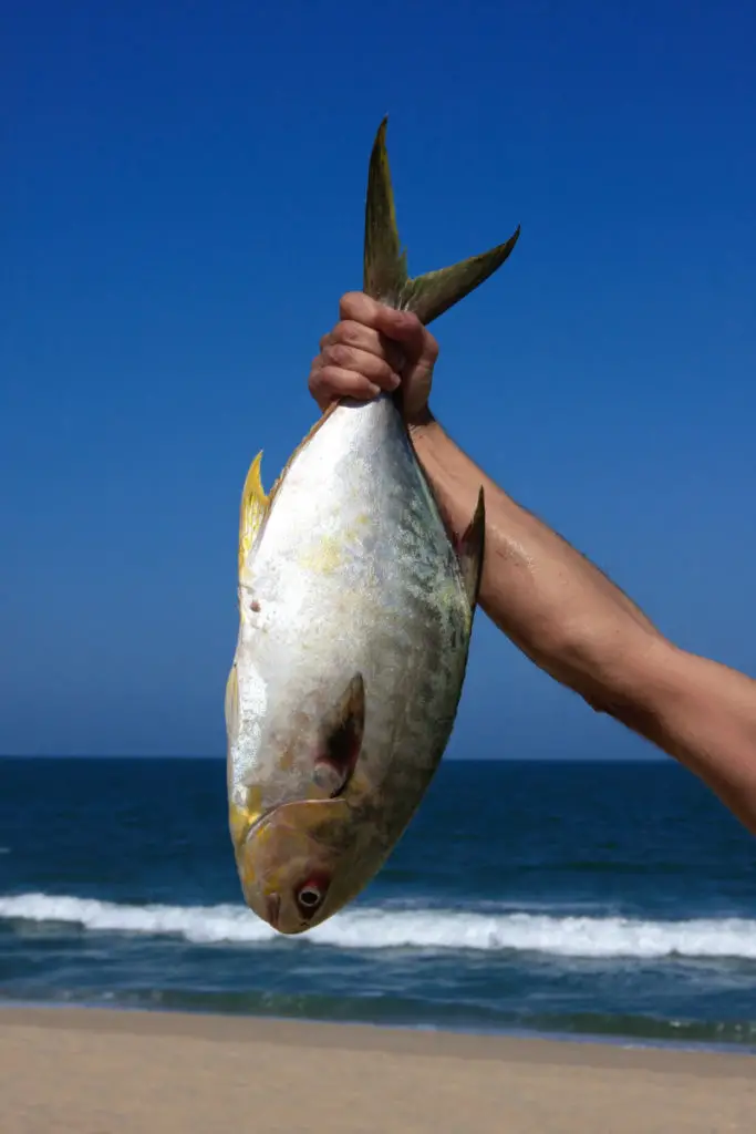 essential-saltwater-fishing-gear-a-comprehensive-guide